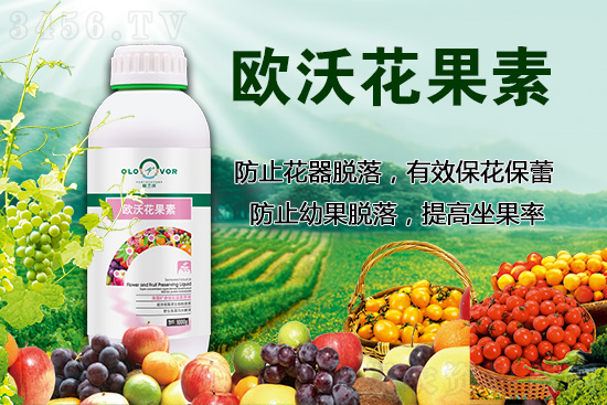 花好果才好!冬季保花保果“促”起来! 花好果才好!冬季保花保果“促”起来!