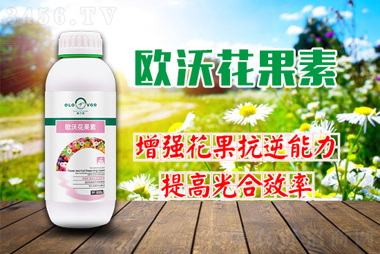 花好果才好!冬季保花保果“促”起来! 花好果才好!冬季保花保果“促”起来!